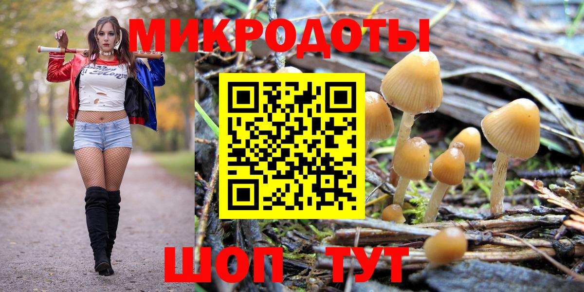 Галлюциногенные грибы Cubensis Кирово-Чепецк