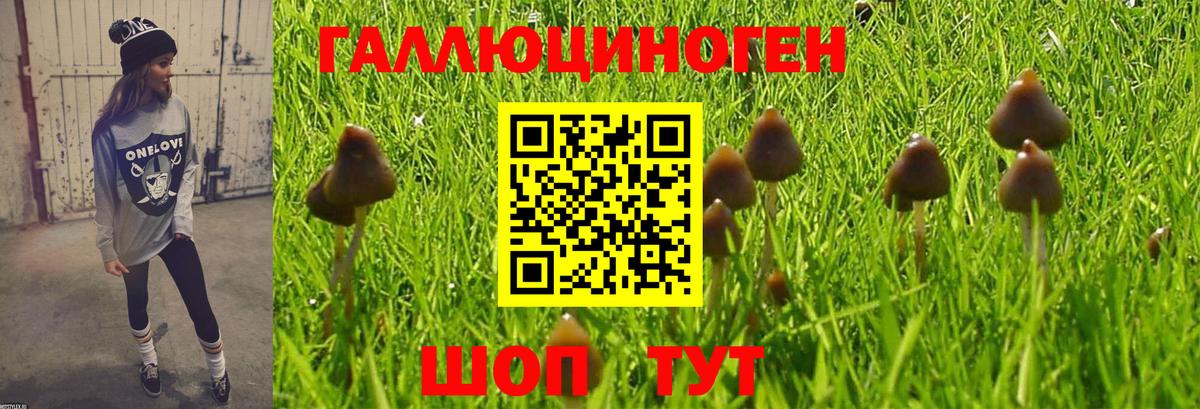 Кирово-Чепецк  где найти наркотики  Вход с VPN  Галлюциногенные грибы Psilocybine cubensis 
